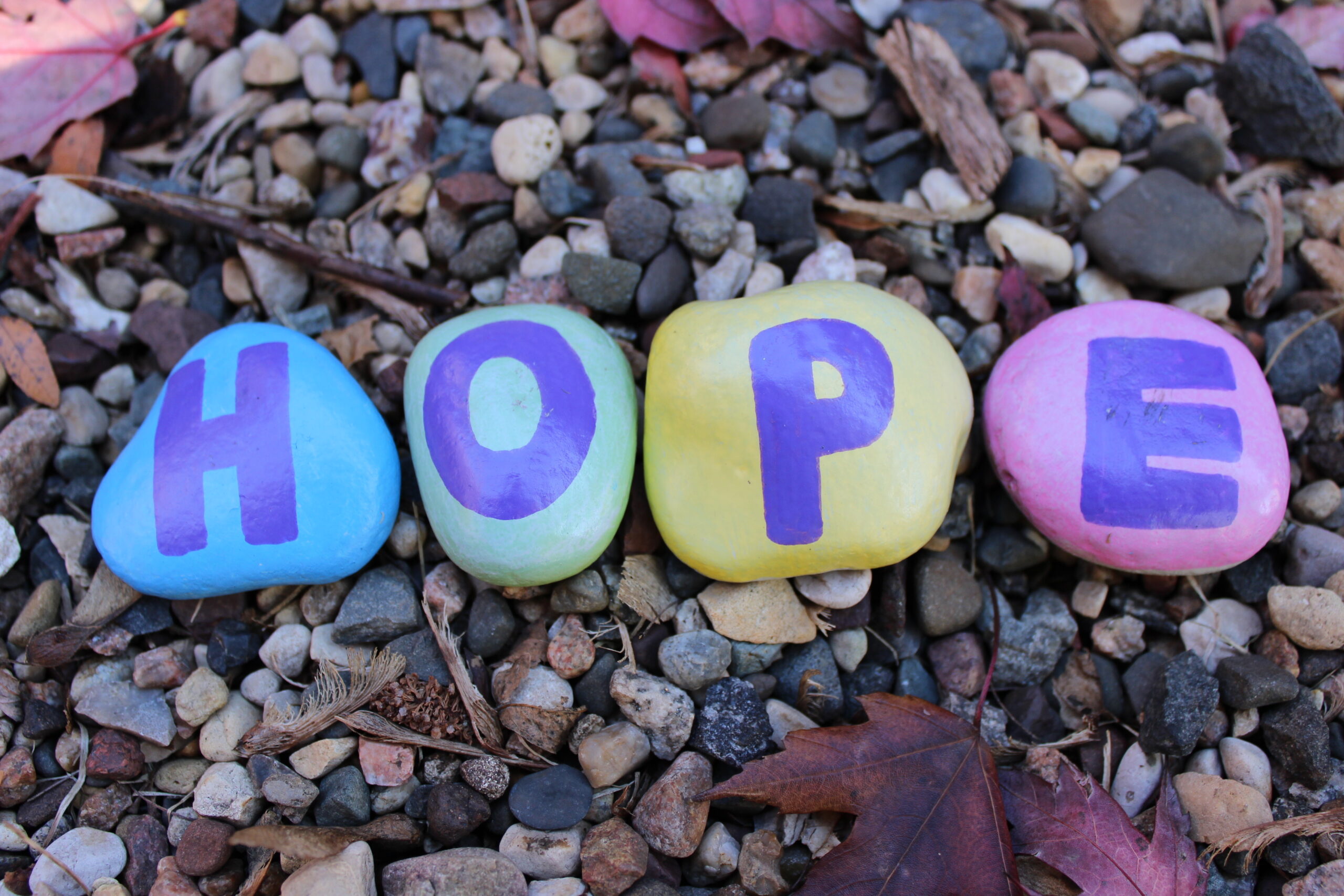 painted rocks spelling out hope